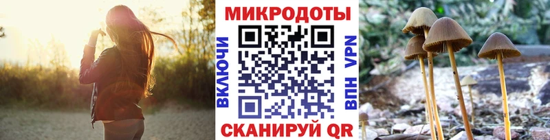 Галлюциногенные грибы прущие грибы Среднеуральск